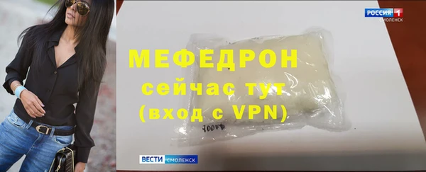 гашик Ельня
